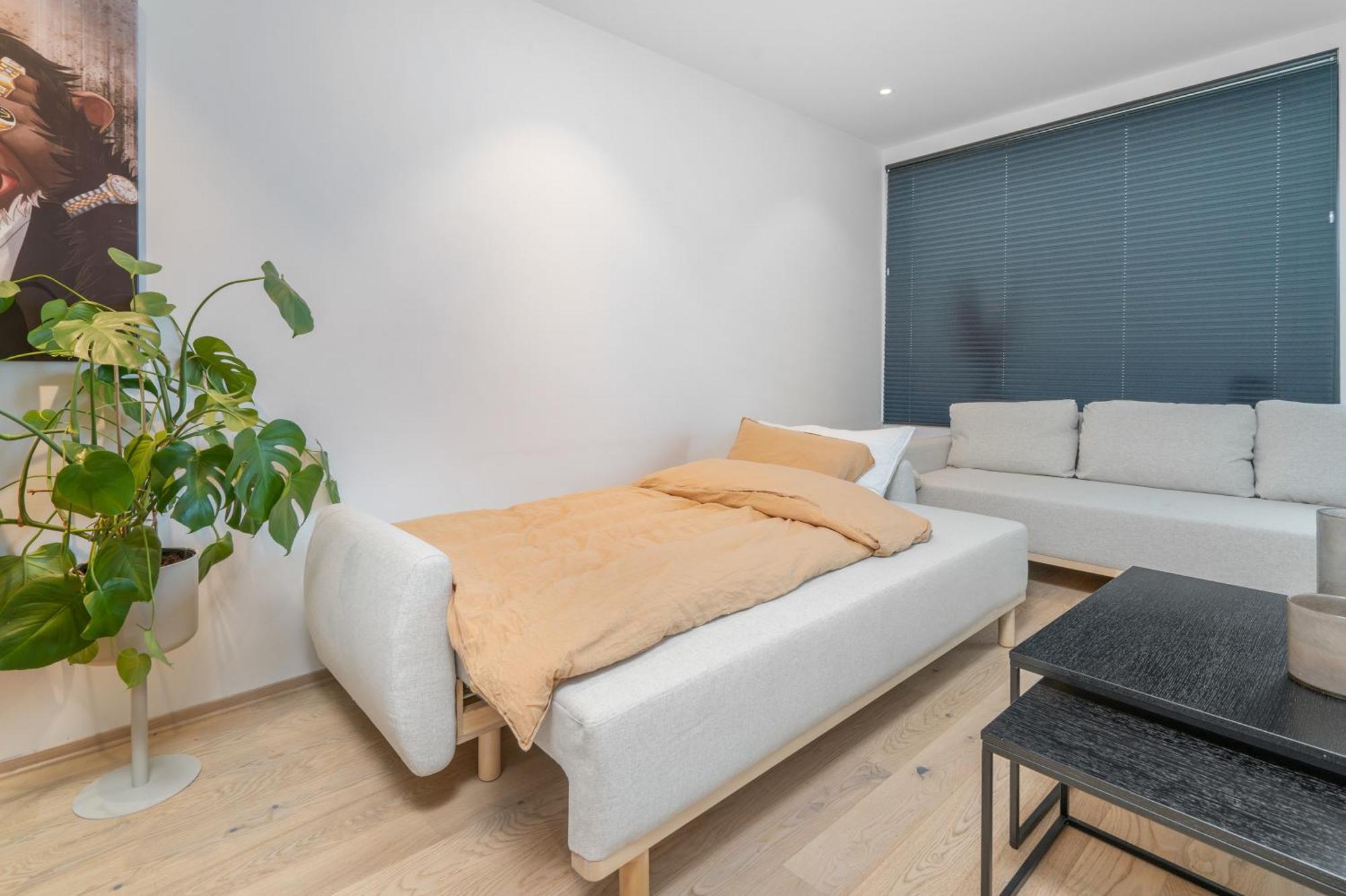 Monkey Business In Kings Park Apartment Тромсе Екстер'єр фото